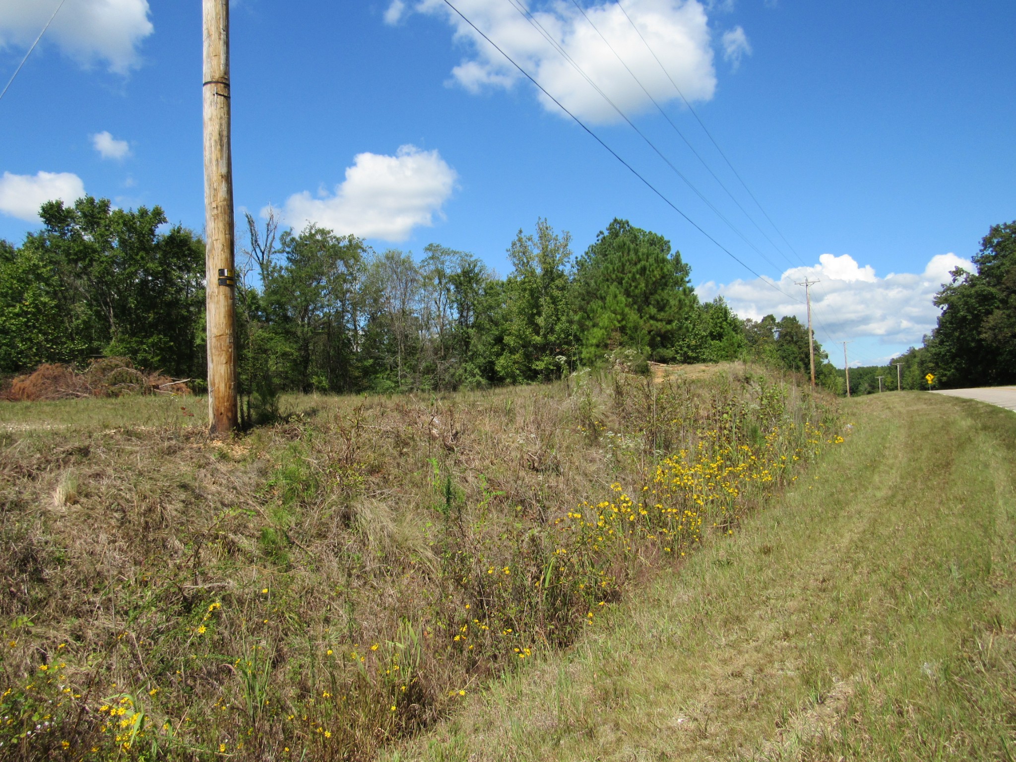 2 Birdsong Road, N Holladay TN 38341