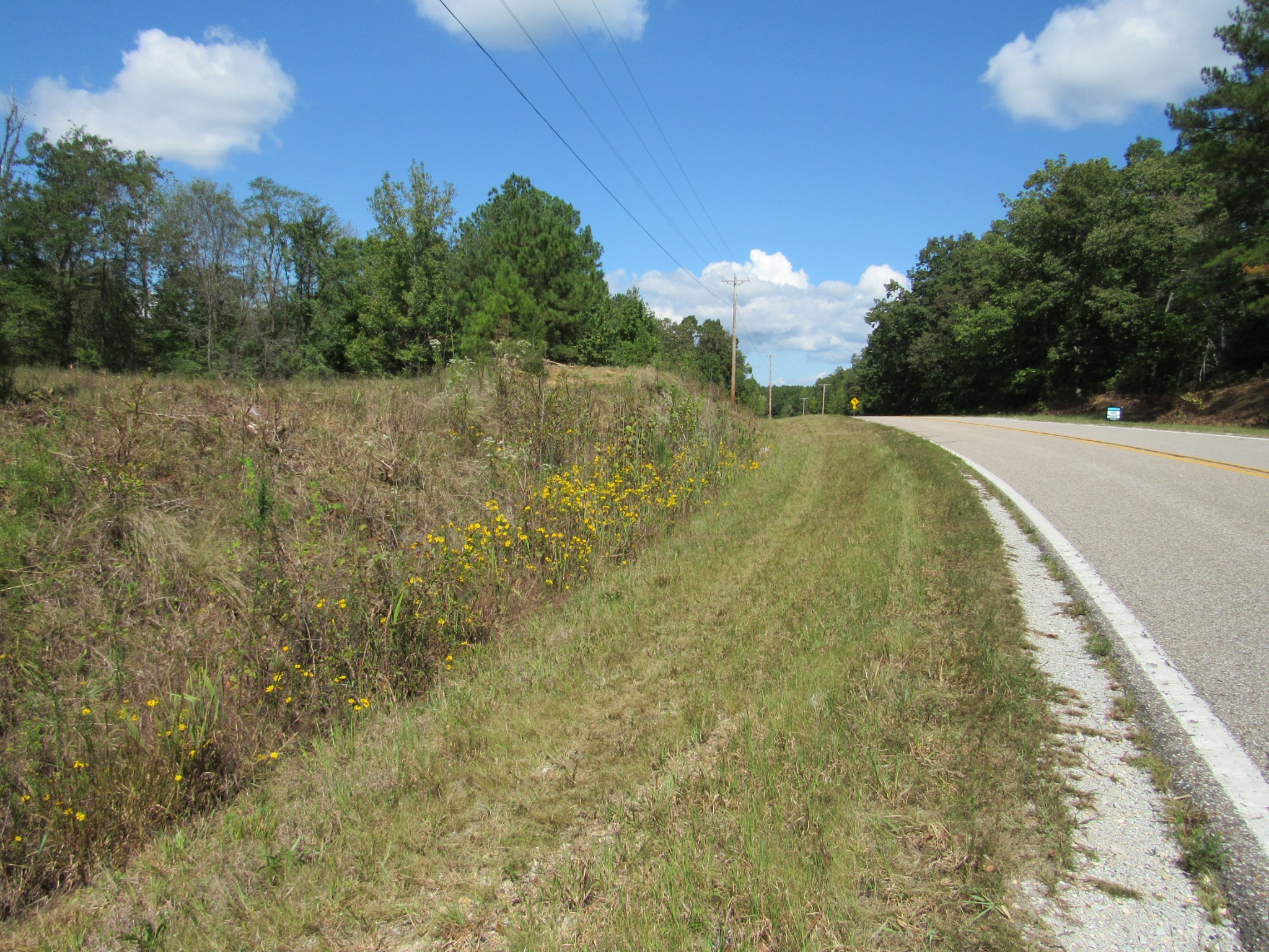 2 Birdsong Road, N Holladay TN 38341