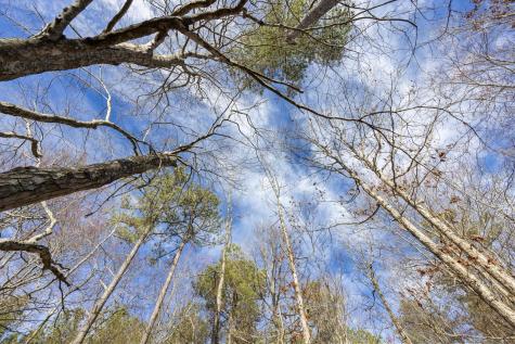 0 Raulston Falls Road Jasper TN 37347