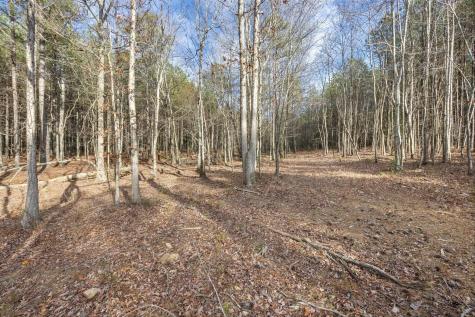 0 Raulston Falls Road Jasper TN 37347