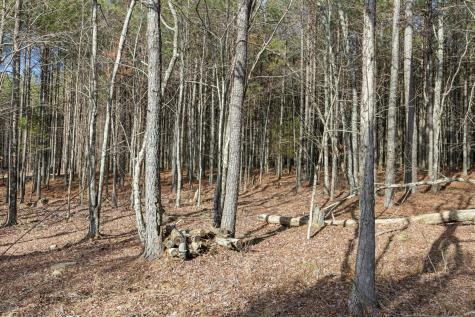 0 Raulston Falls Road Jasper TN 37347