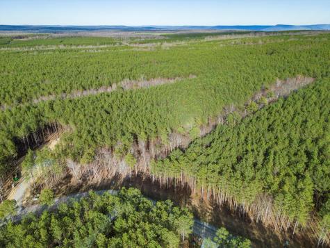 0 Raulston Falls Road Jasper TN 37347