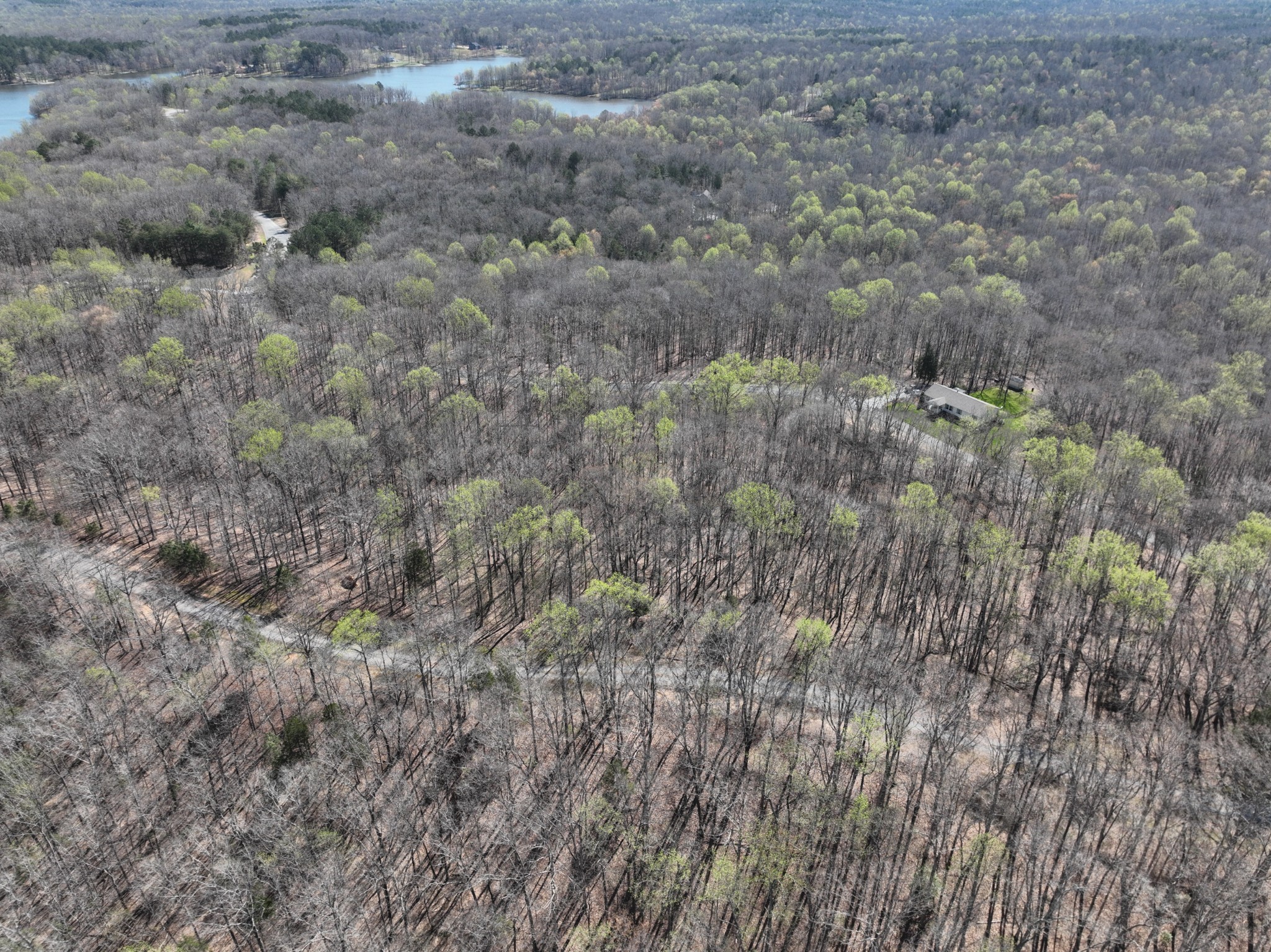 0 Logger Lane Cedar Grove TN 38321