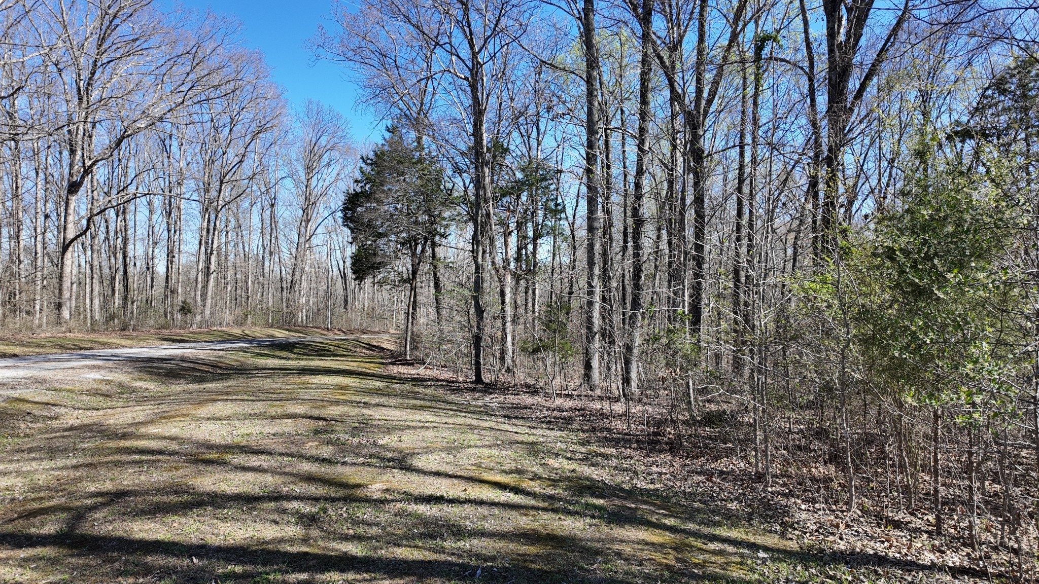 0 Logger Lane Cedar Grove TN 38321