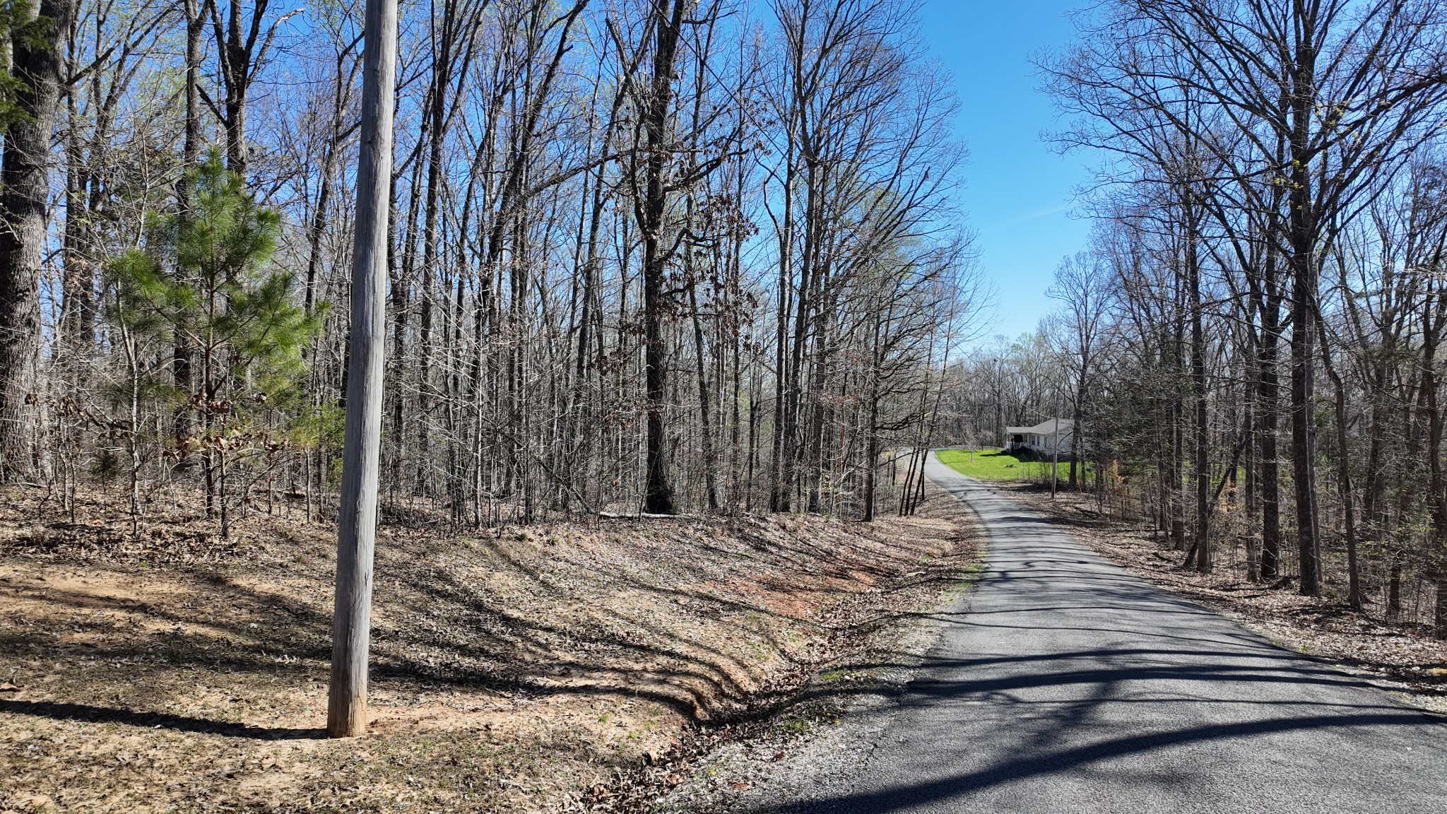 0 Logger Lane Cedar Grove TN 38321