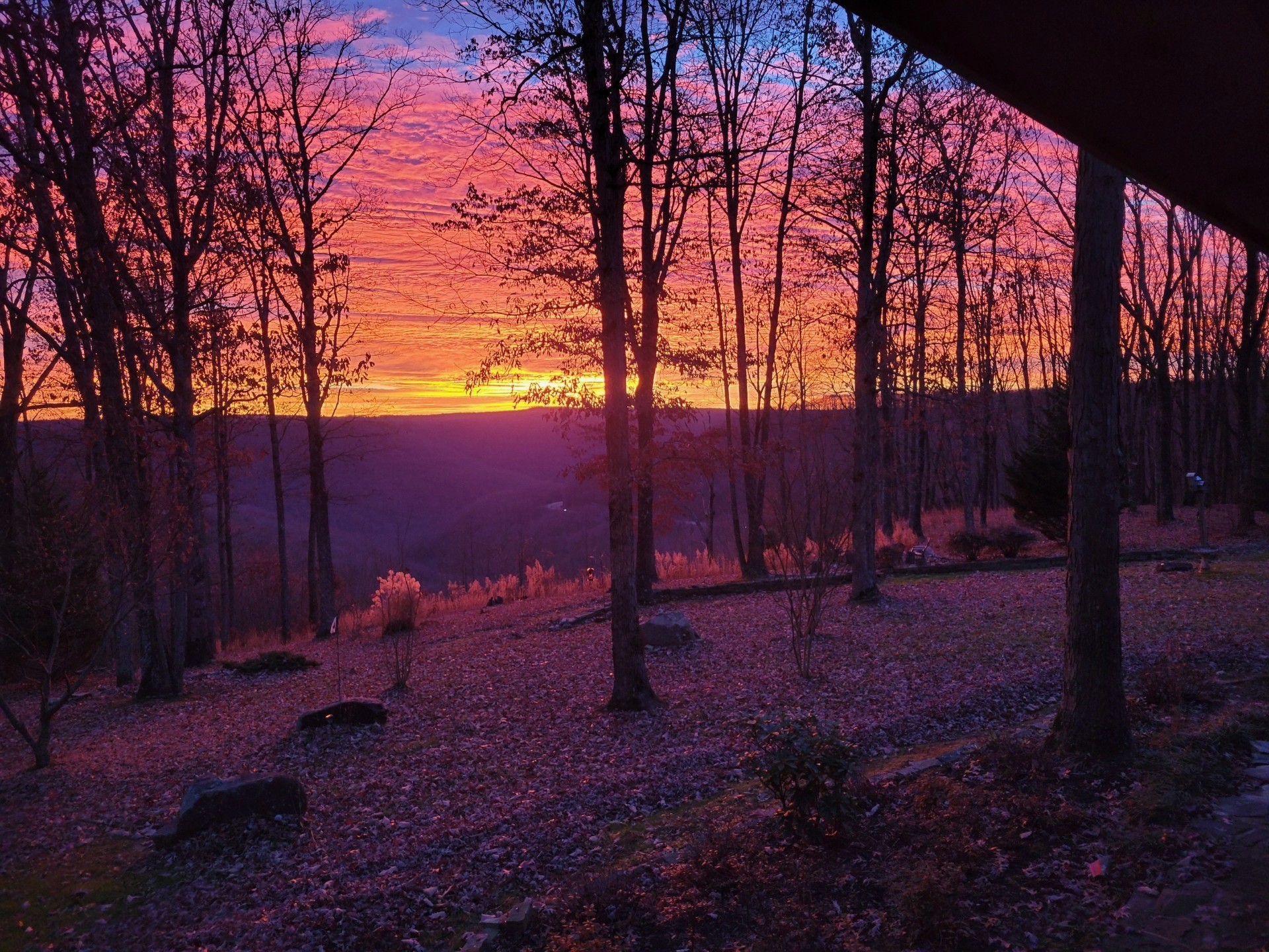 1233 Oliver Drive Monteagle TN 37356