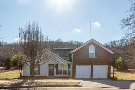5464 Daniel Ray Drive Whites Creek TN 37189