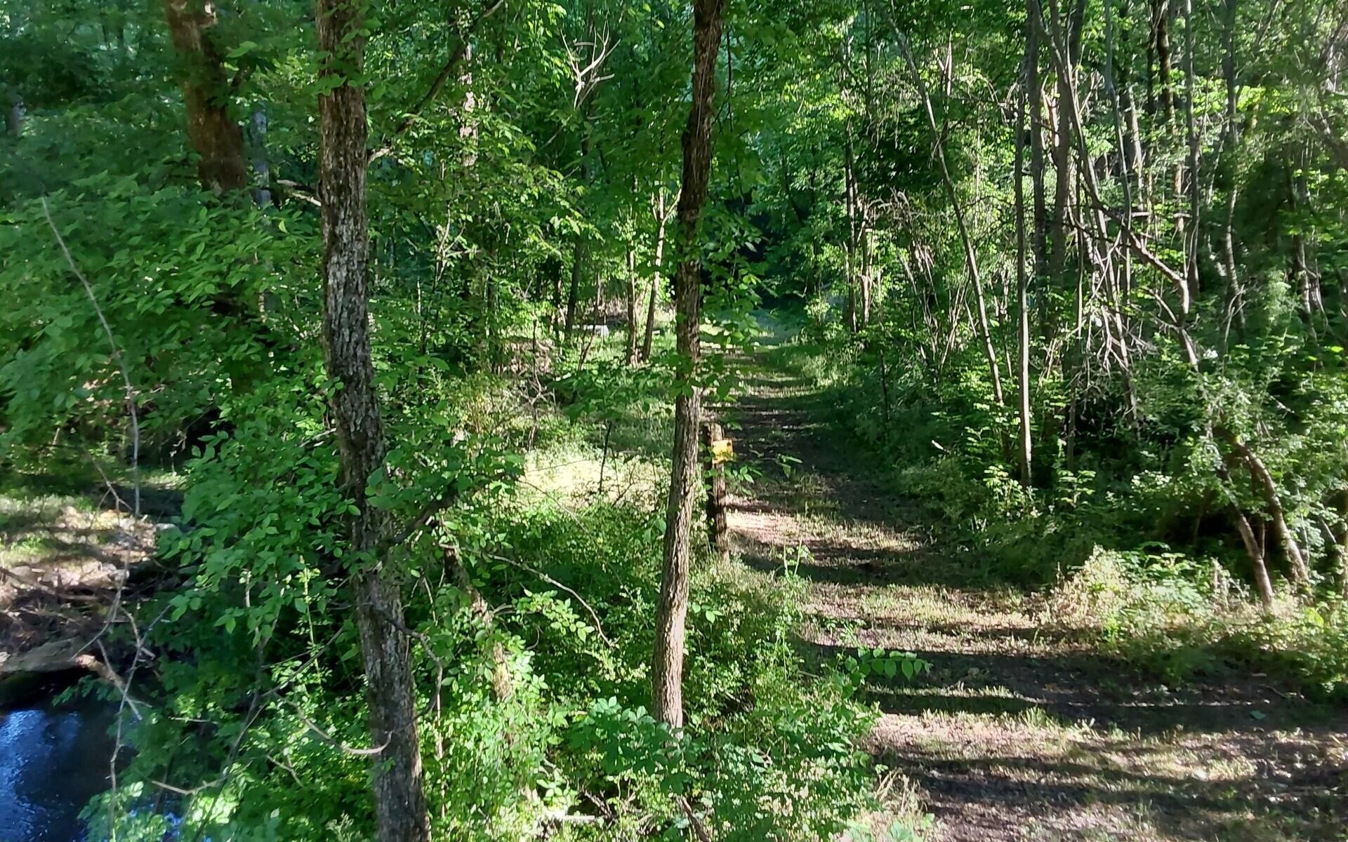 358 County Road 580 Athens TN 37303