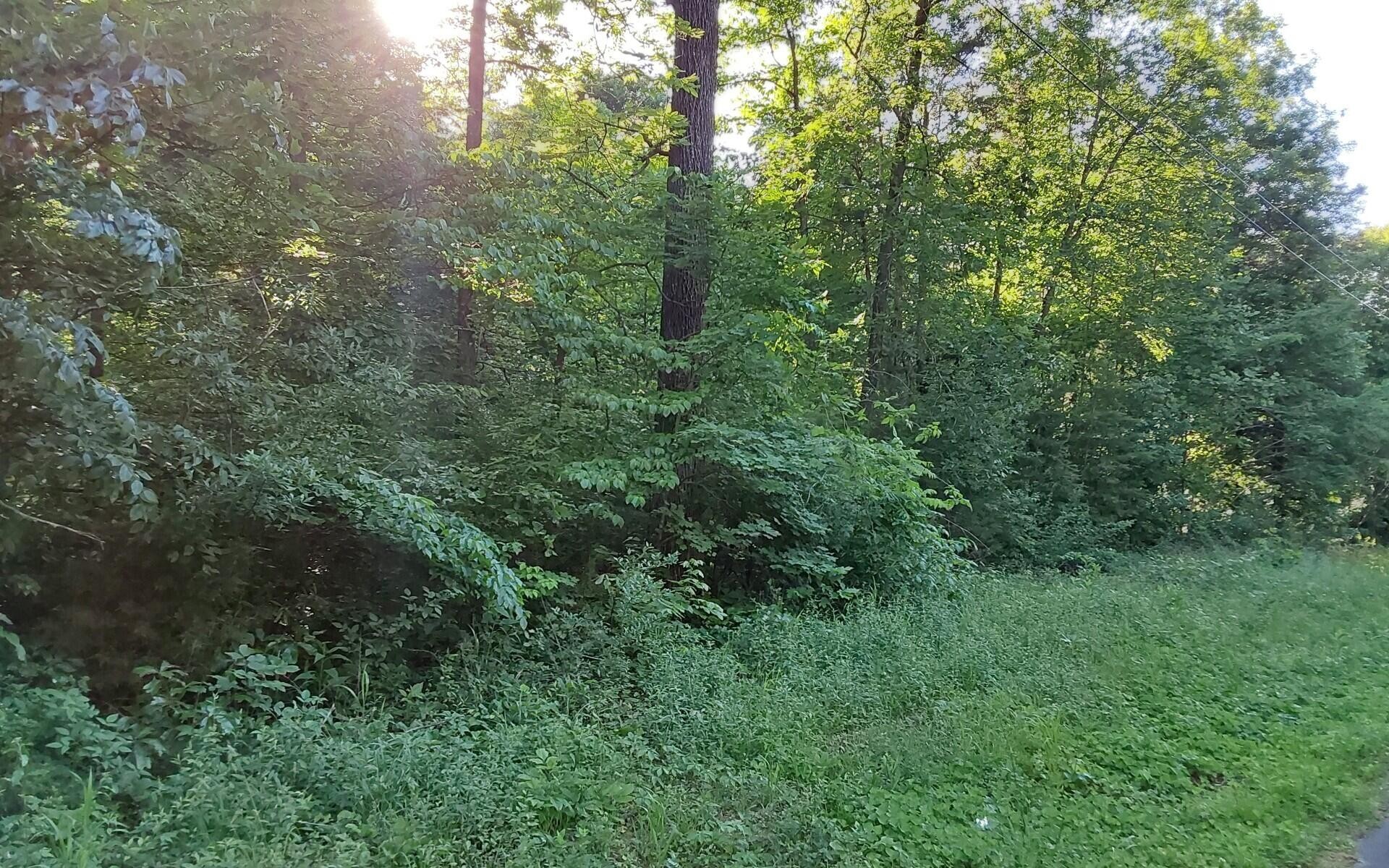 358 County Road 580 Athens TN 37303