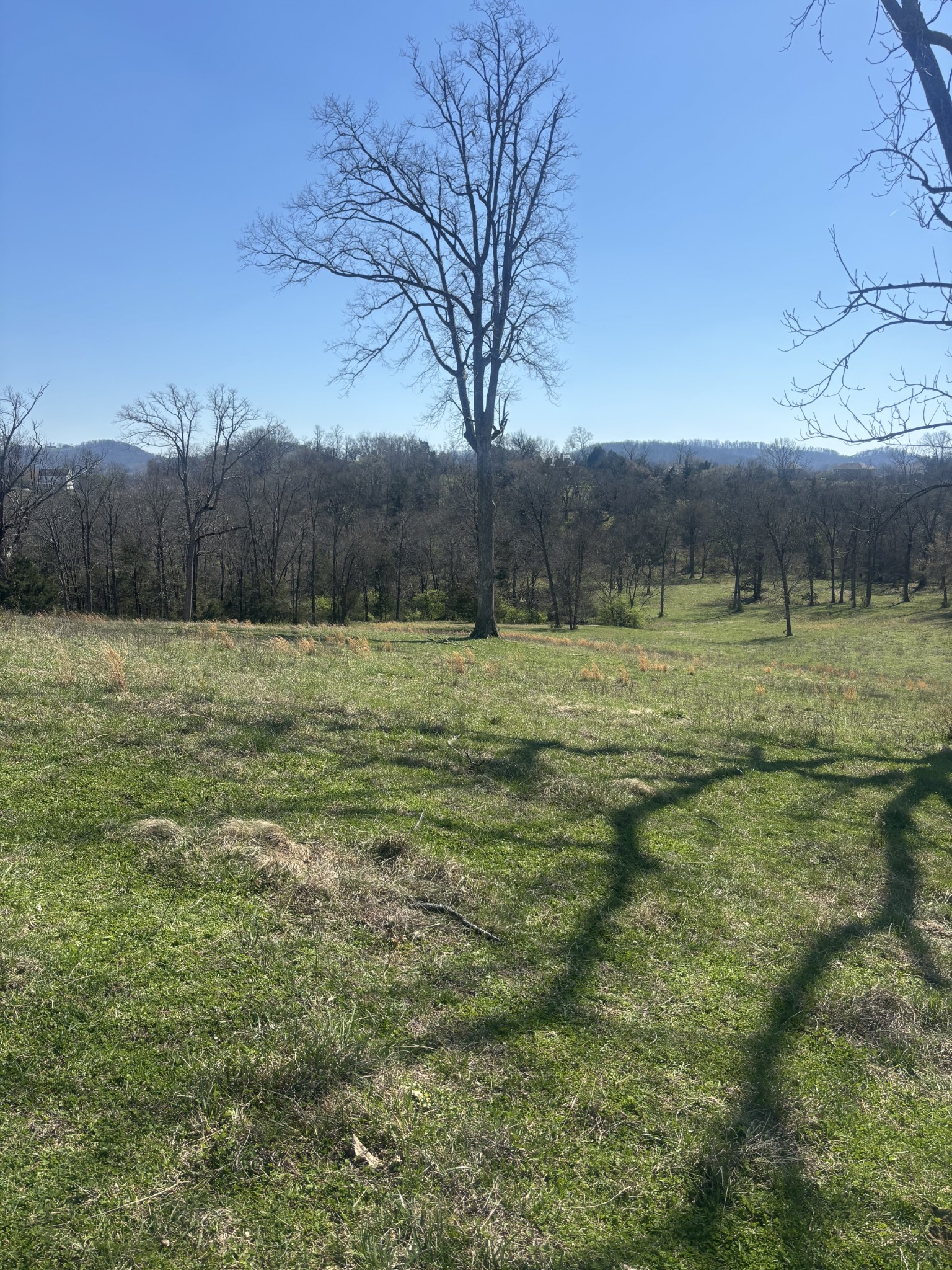 9849 Sam Donald Road Nolensville TN 37135