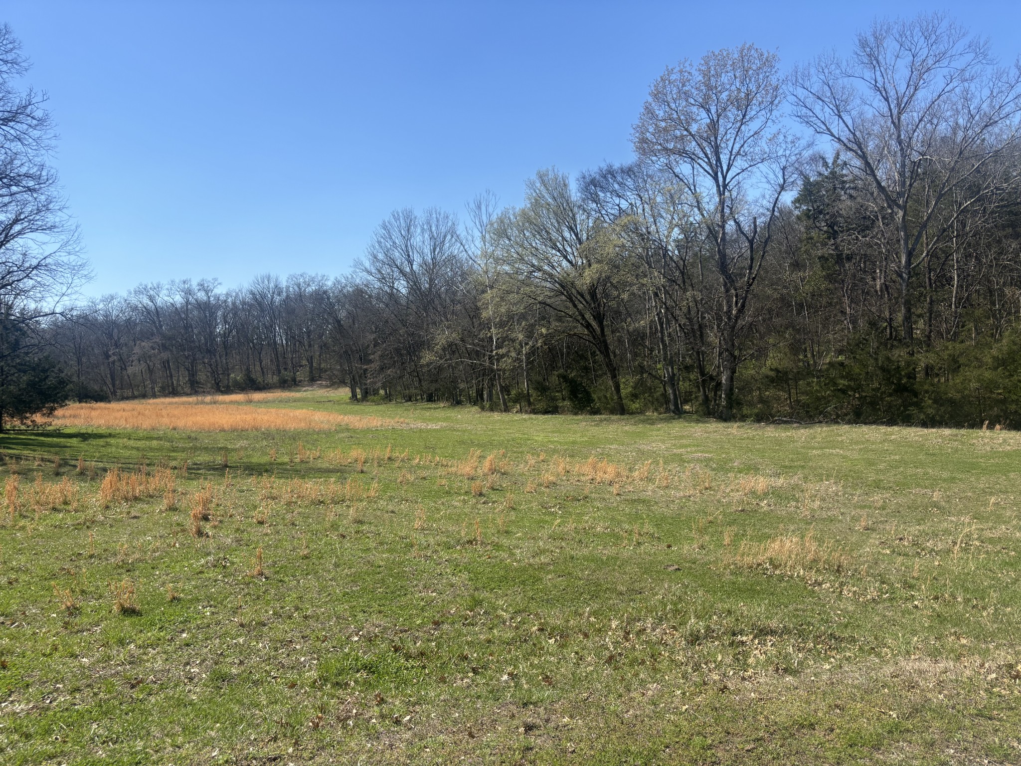 9849 Sam Donald Road Nolensville TN 37135