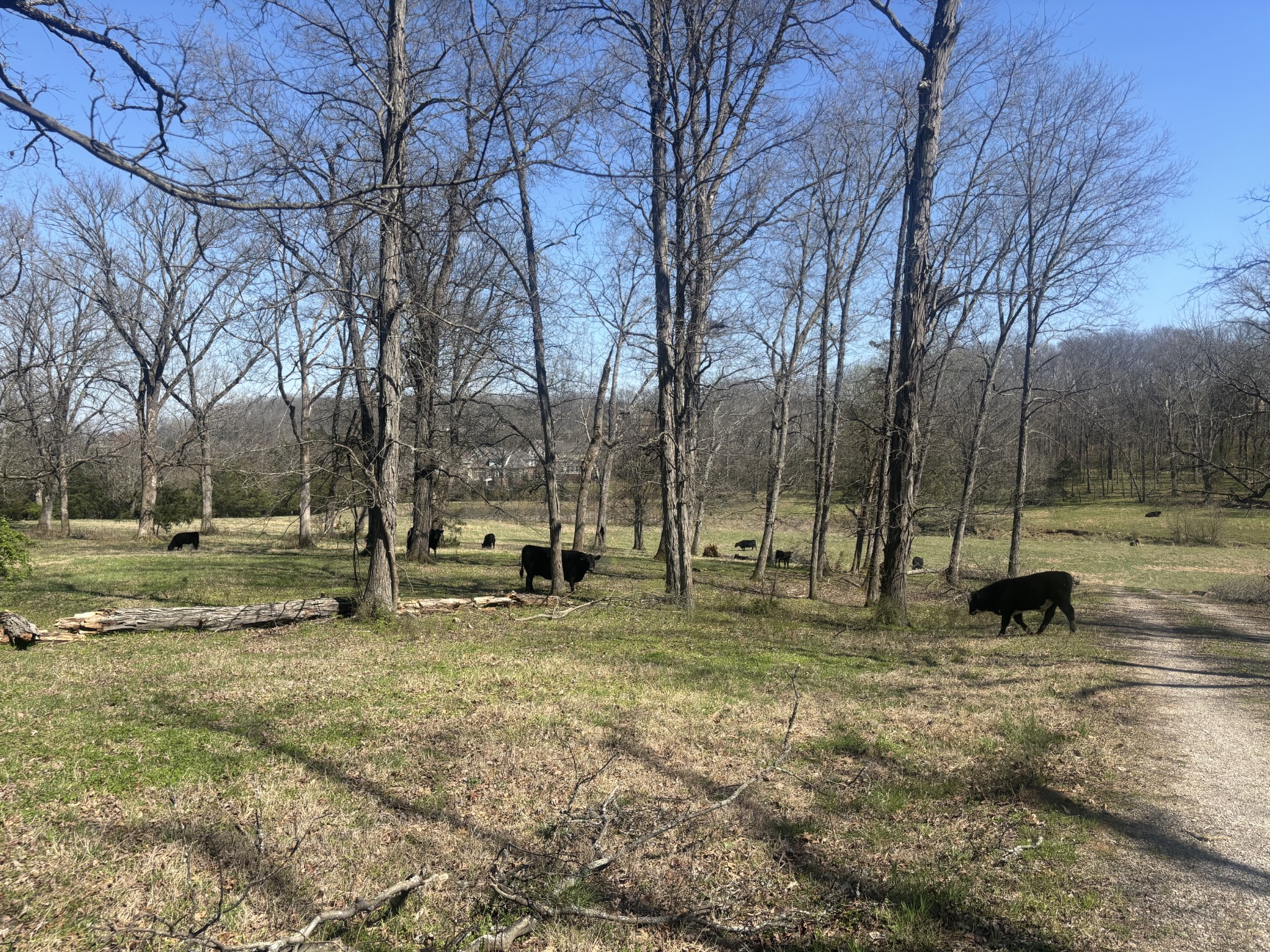9849 Sam Donald Road Nolensville TN 37135