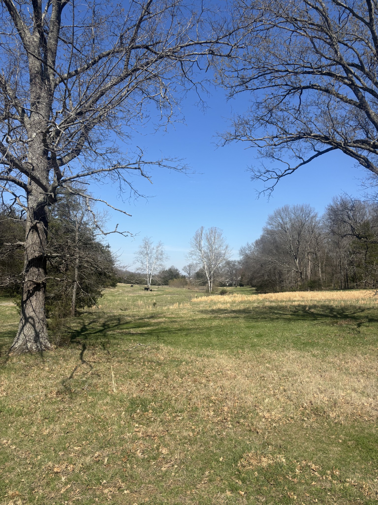 9849 Sam Donald Road Nolensville TN 37135