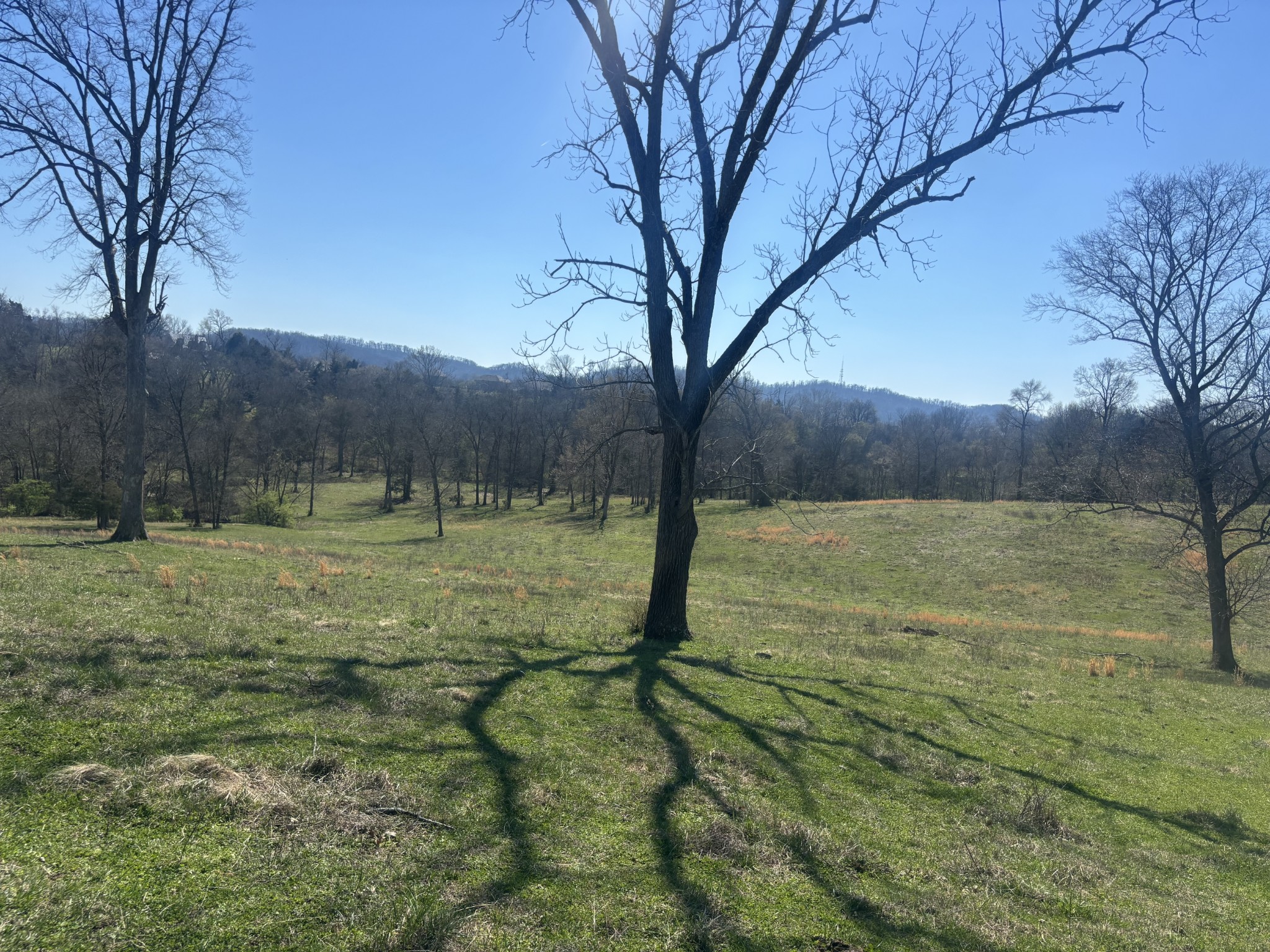 9849 Sam Donald Road Nolensville TN 37135