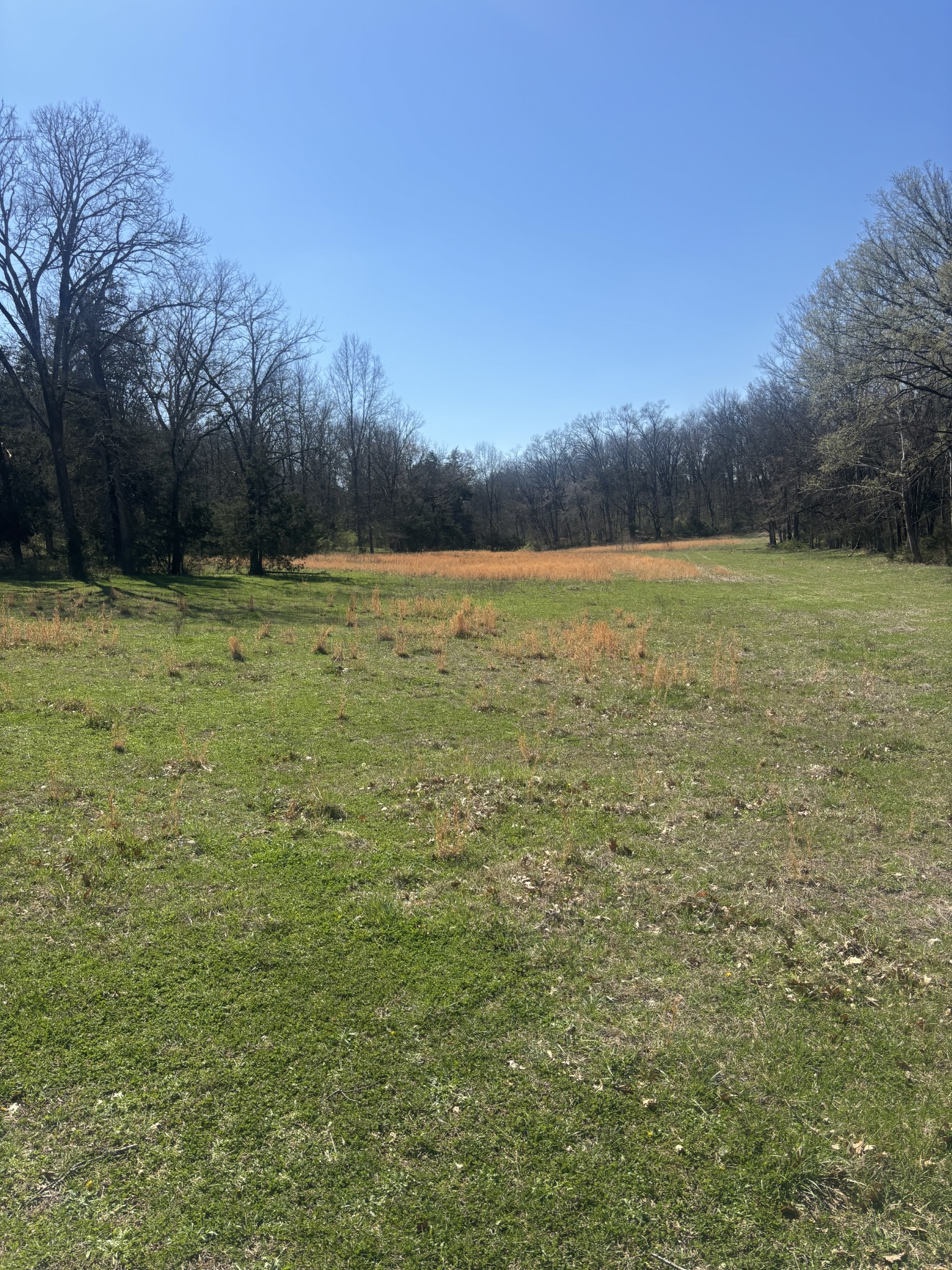 9849 Sam Donald Road Nolensville TN 37135