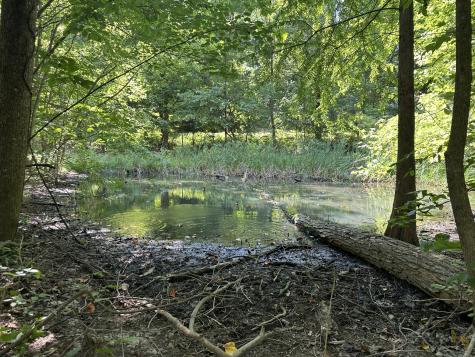 5833 Dewey Carr Road Bethpage TN 37022