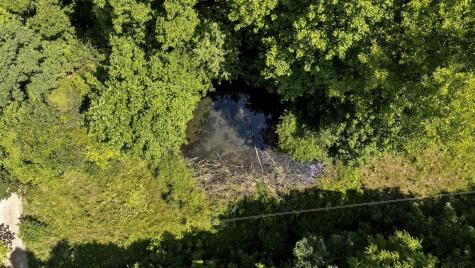 5833 Dewey Carr Road Bethpage TN 37022