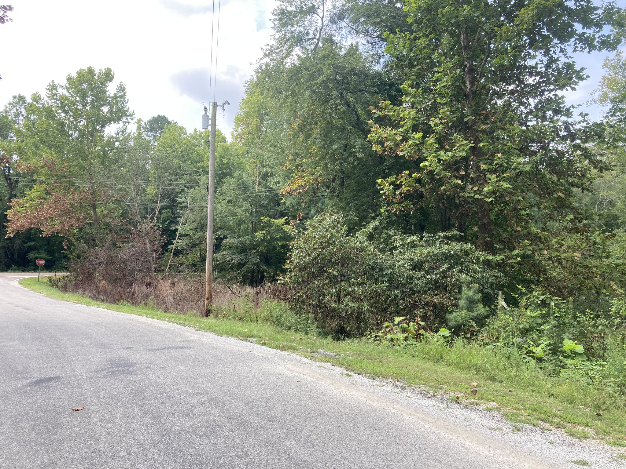 0 Highway 140 E Buchanan TN 38222