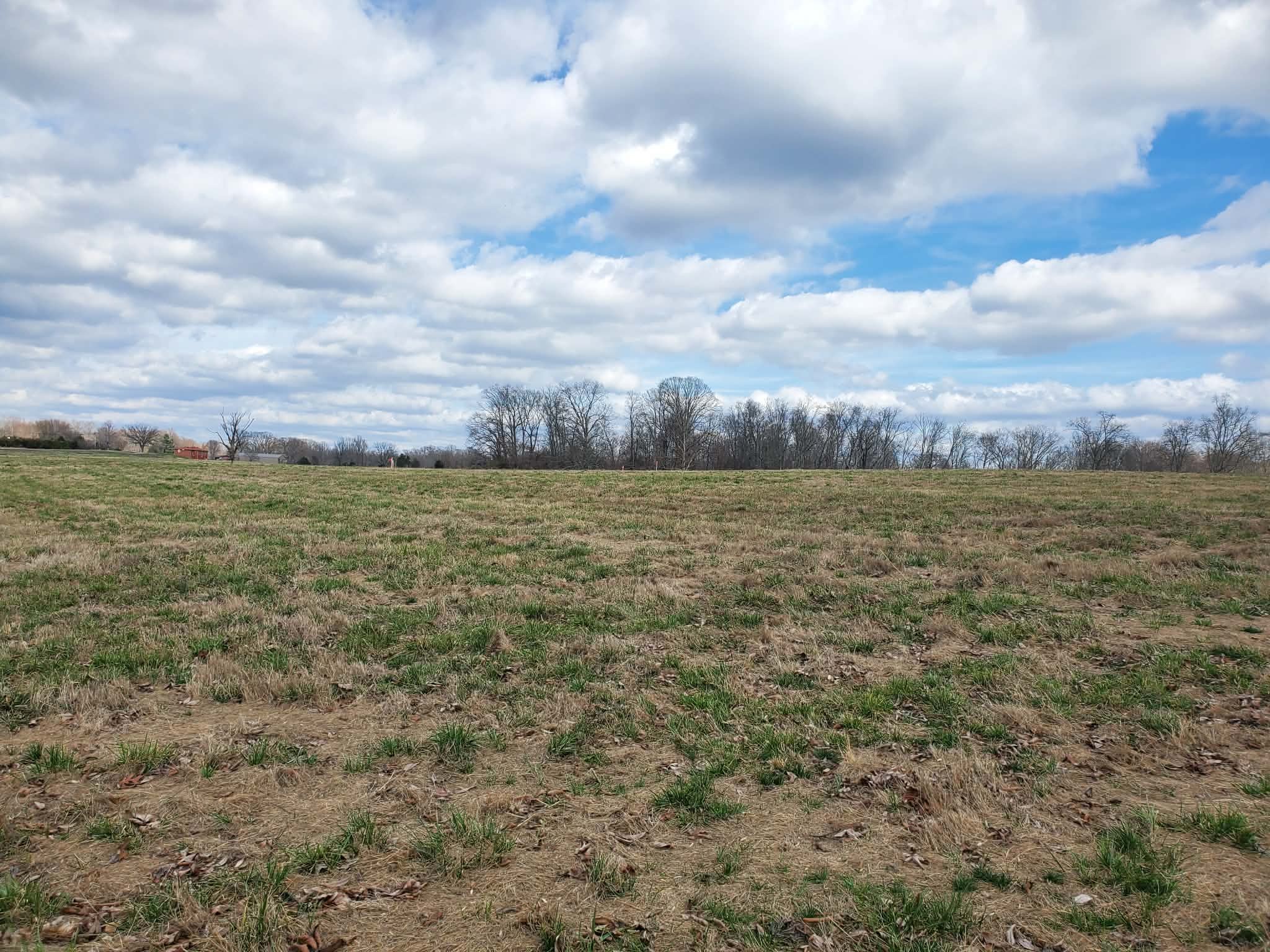 0 Arnold Thomas Road Silver Point TN 38582