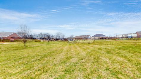 1027 Meridian Drive Castalian Springs TN 37031