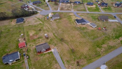1027 Meridian Drive Castalian Springs TN 37031