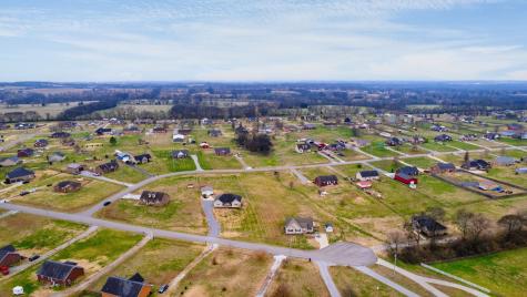 1027 Meridian Drive Castalian Springs TN 37031