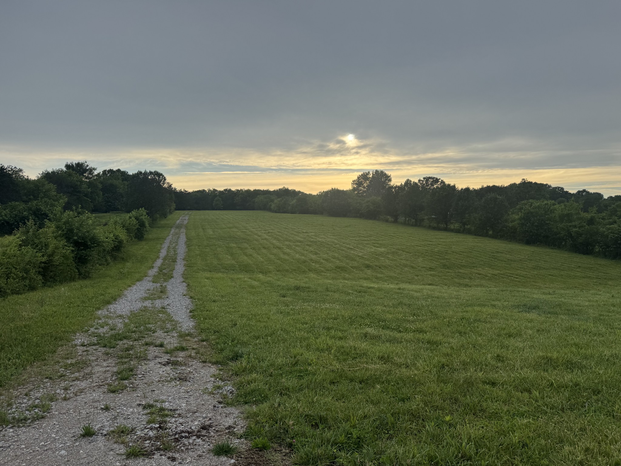 0 Hickerson Road Wartrace TN 37183