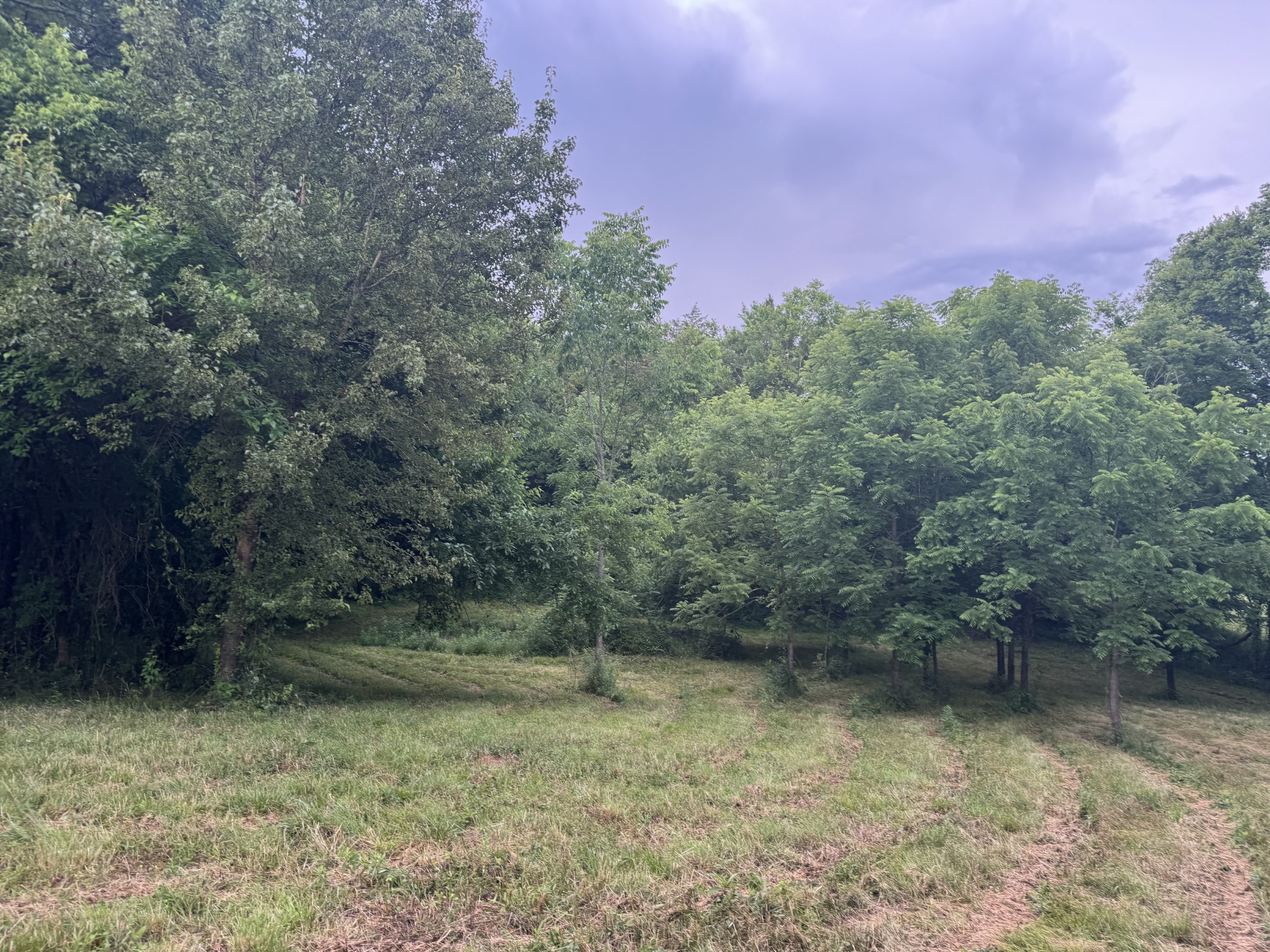 0 Hickerson Road Wartrace TN 37183