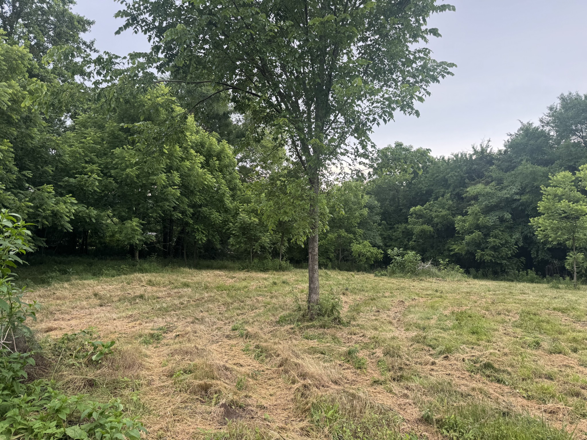 0 Hickerson Road Wartrace TN 37183
