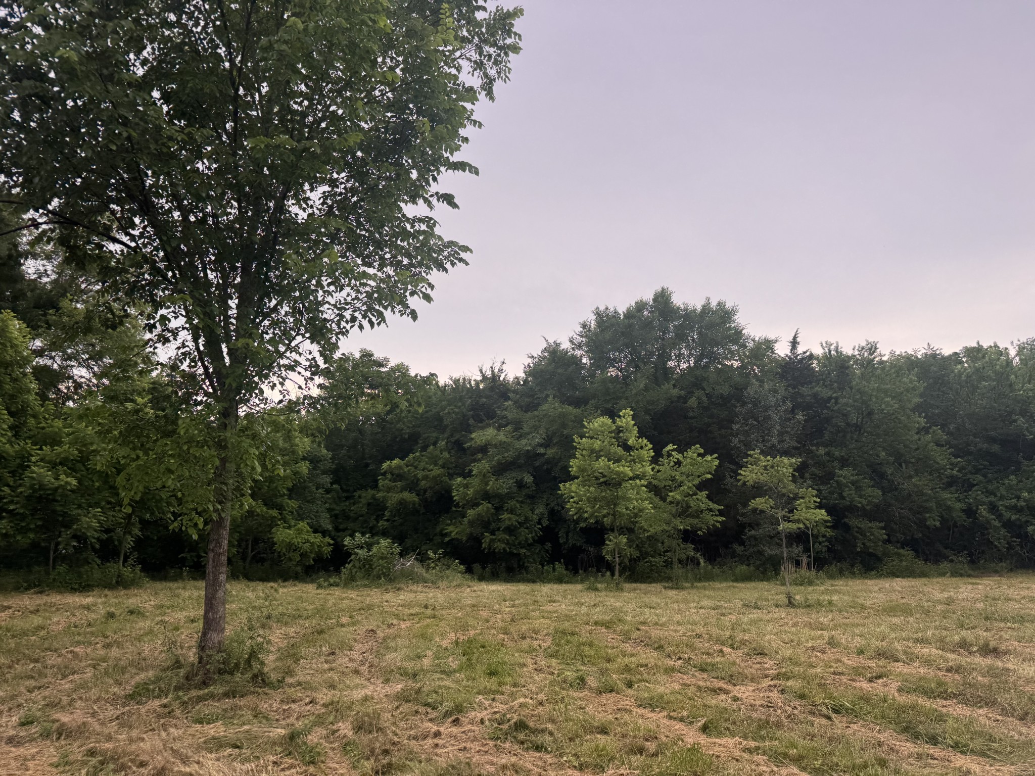 0 Hickerson Road Wartrace TN 37183