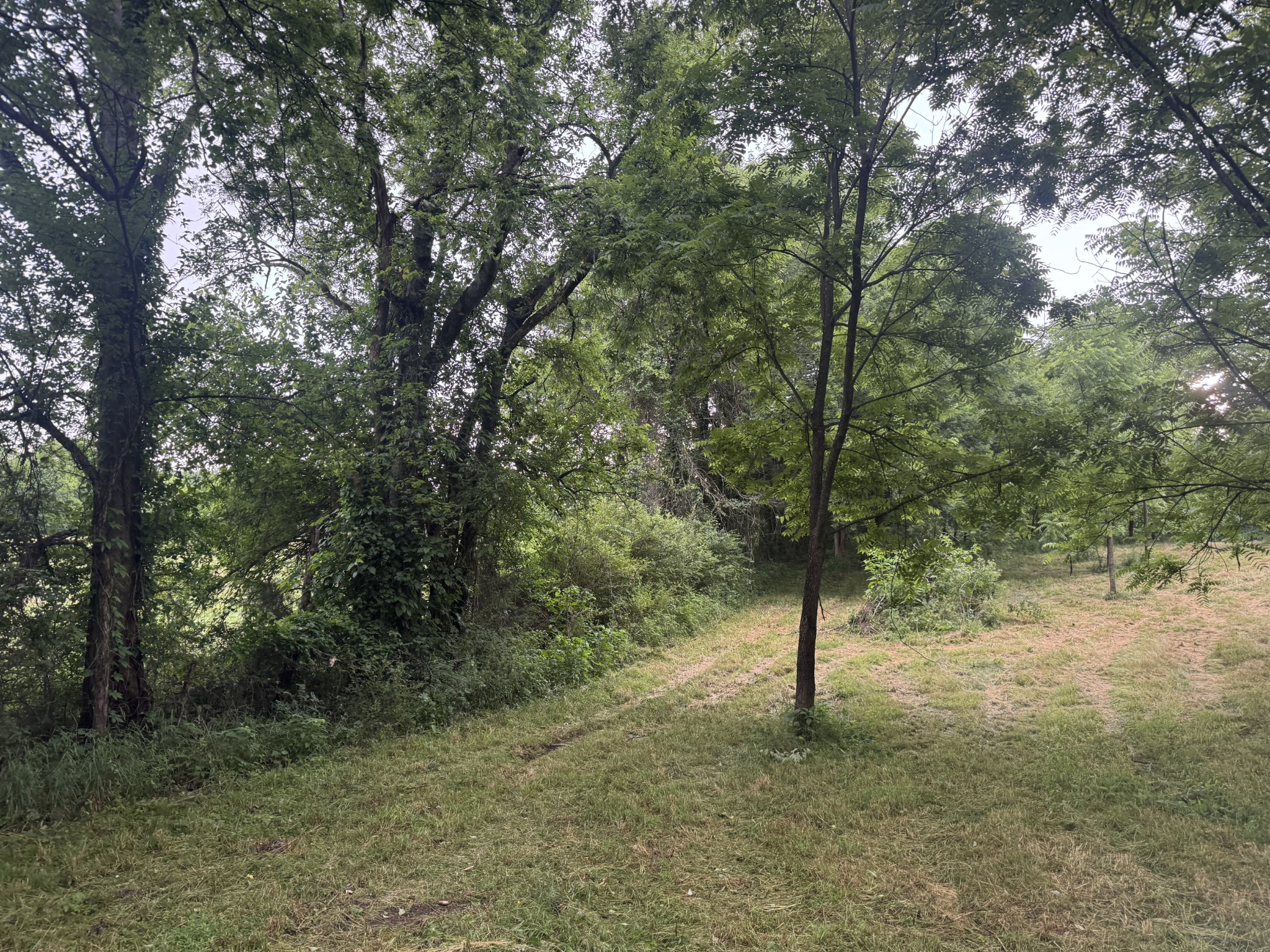 0 Hickerson Road Wartrace TN 37183