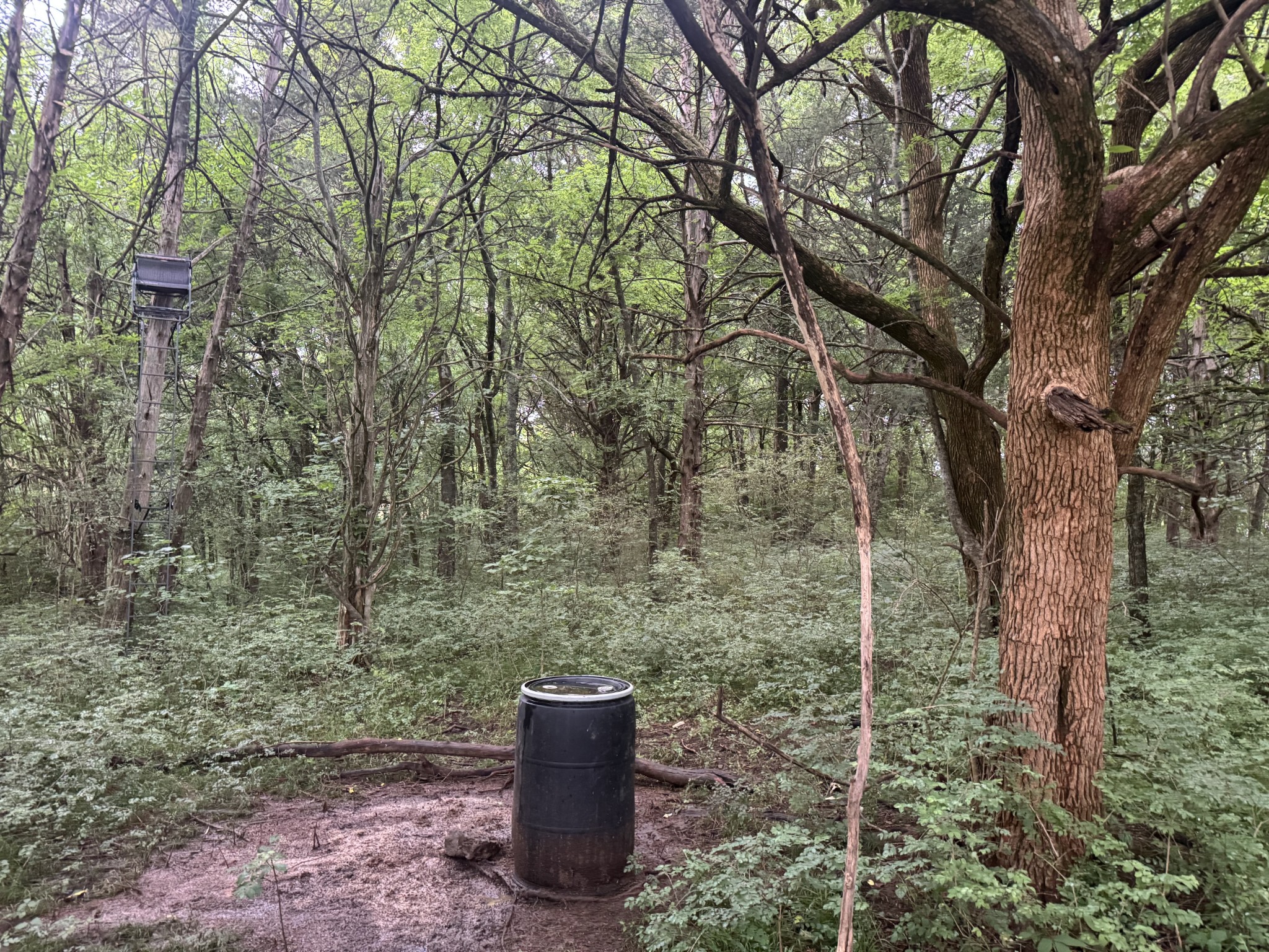 0 Hickerson Road Wartrace TN 37183