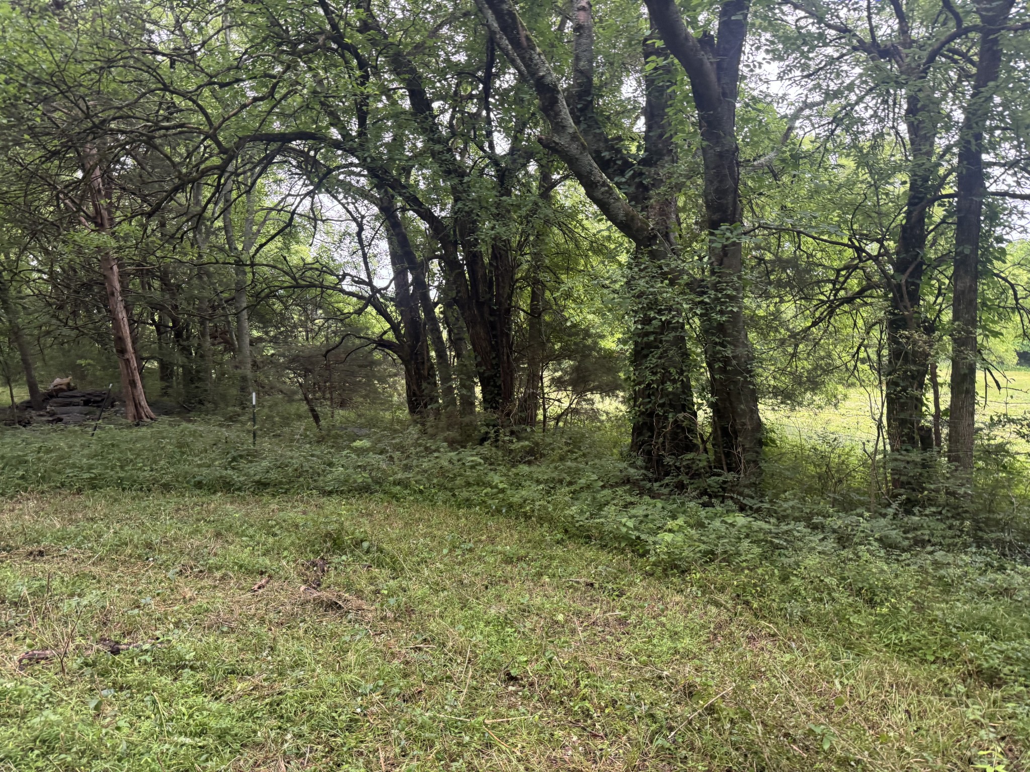 0 Hickerson Road Wartrace TN 37183
