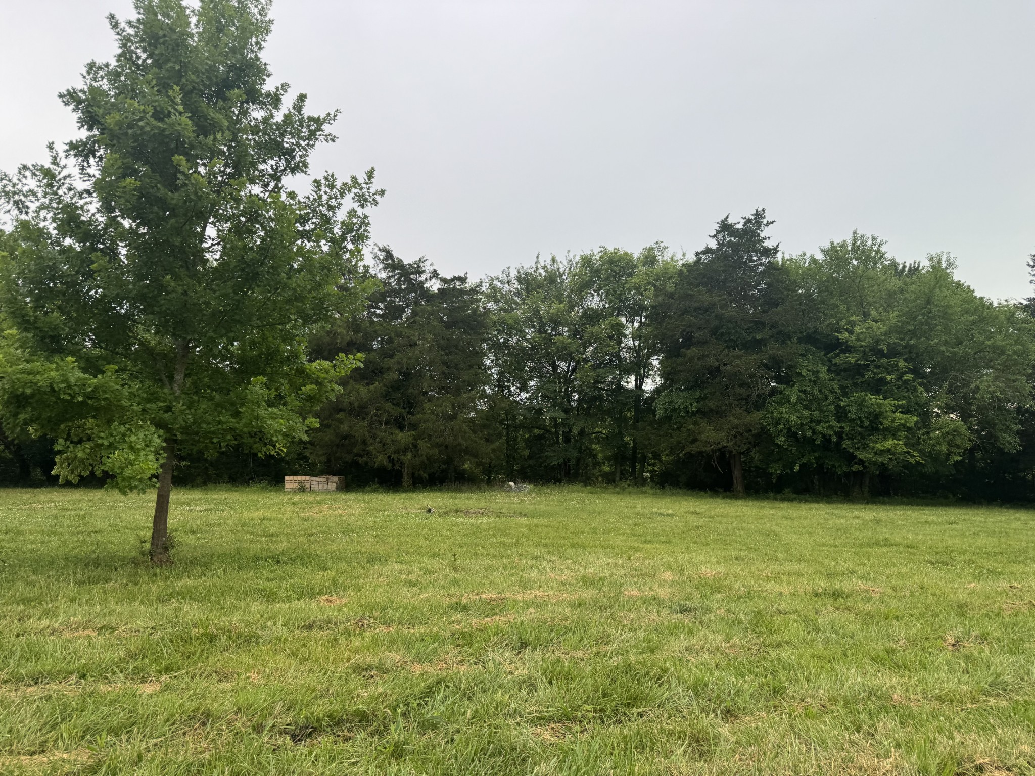 0 Hickerson Road Wartrace TN 37183
