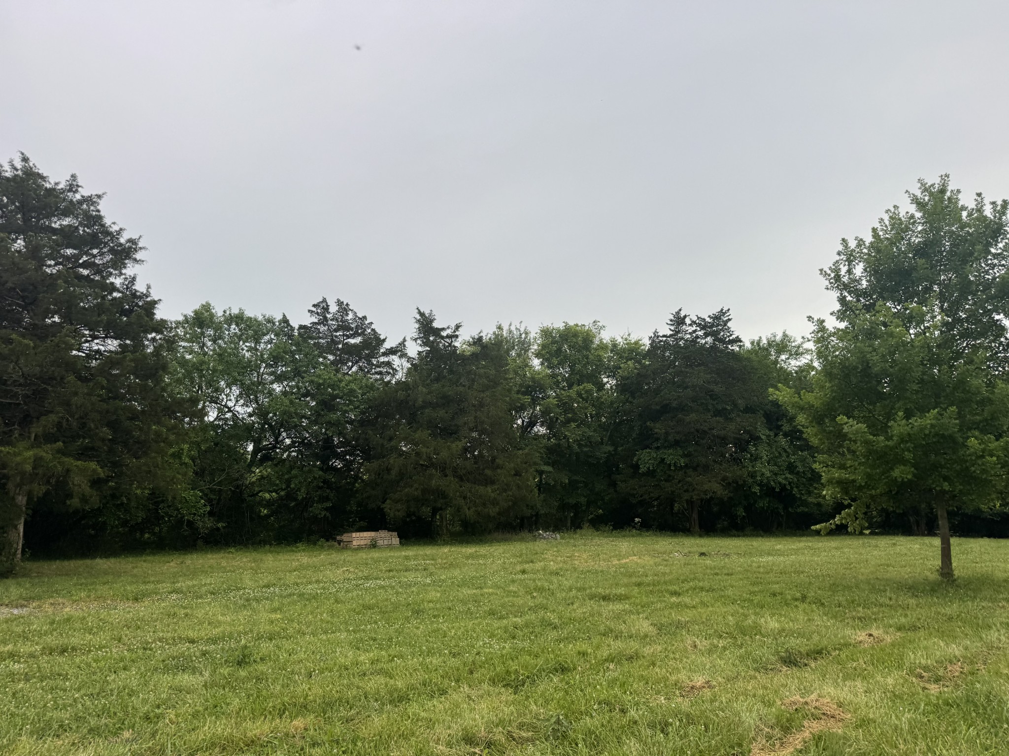 0 Hickerson Road Wartrace TN 37183