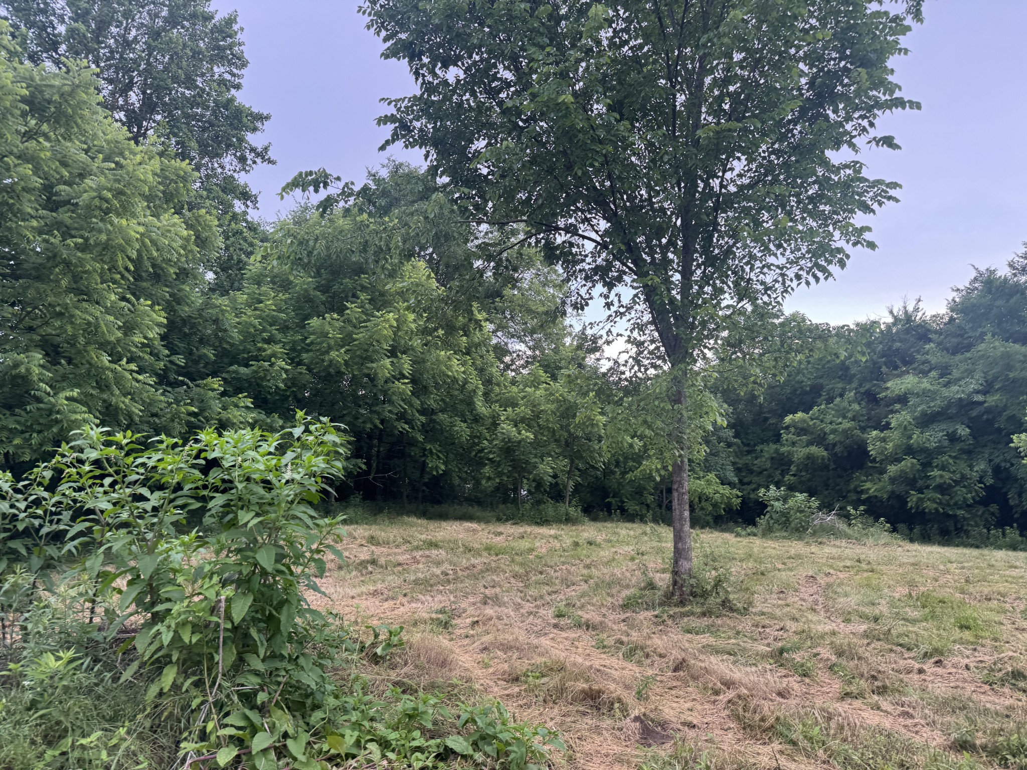 0 Hickerson Road Wartrace TN 37183