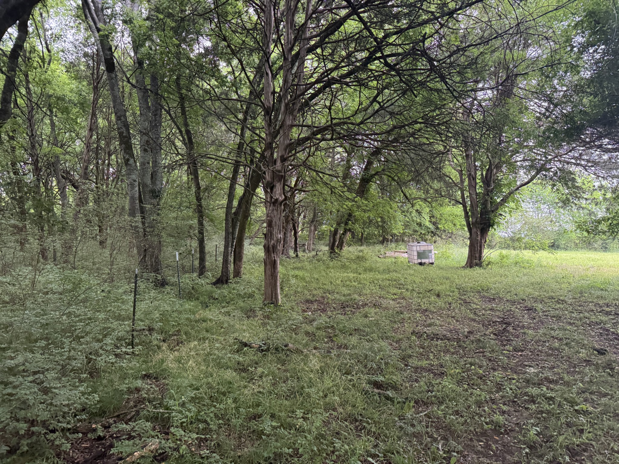 0 Hickerson Road Wartrace TN 37183