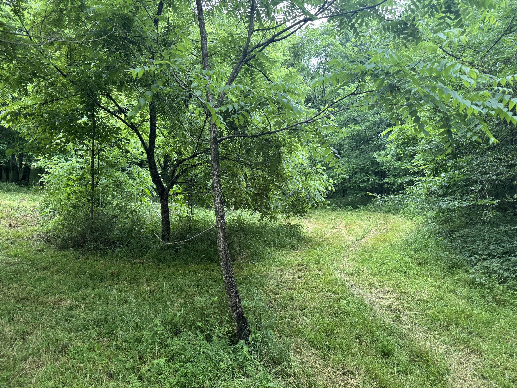 0 Hickerson Road Wartrace TN 37183