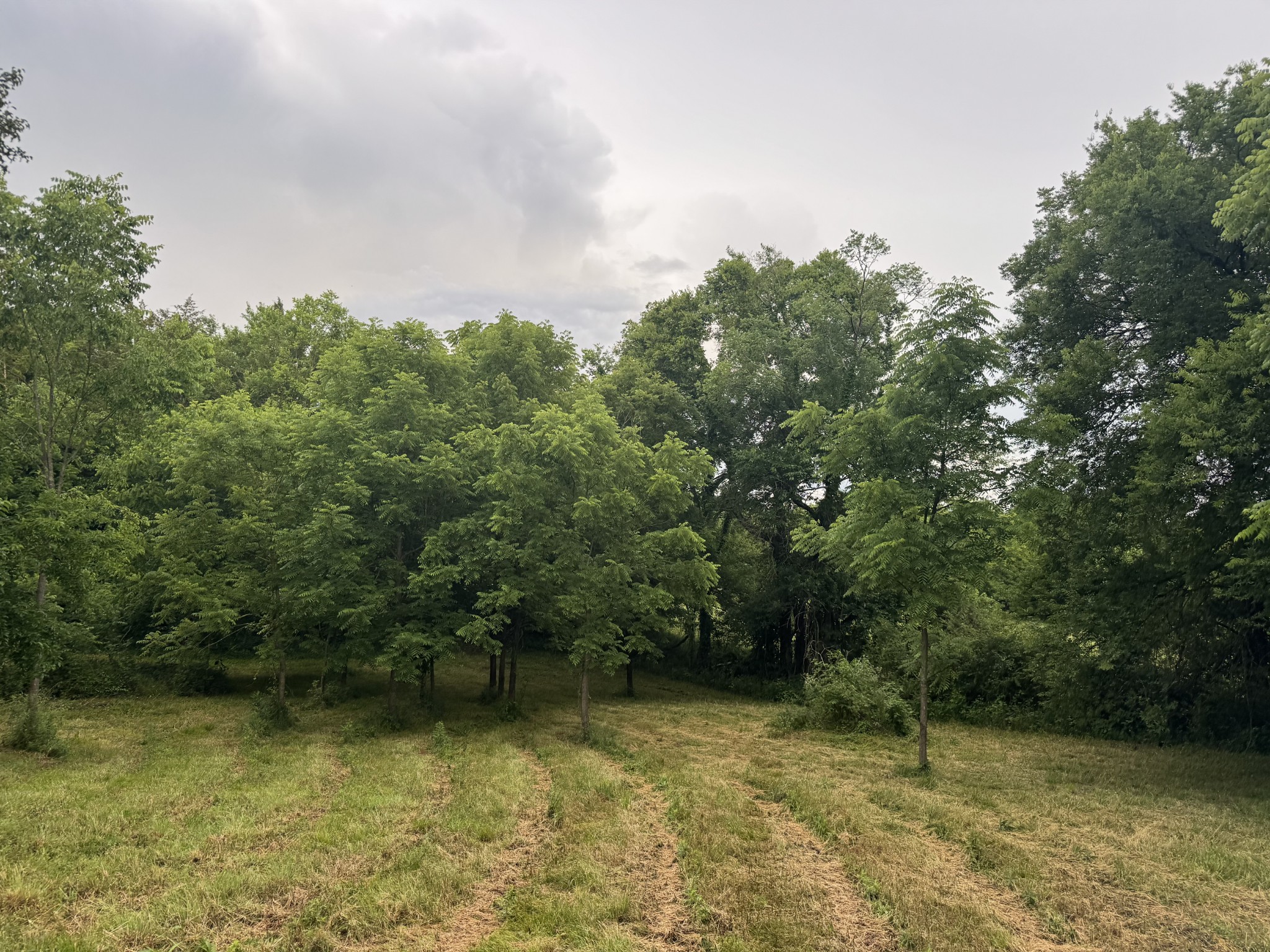 0 Hickerson Road Wartrace TN 37183