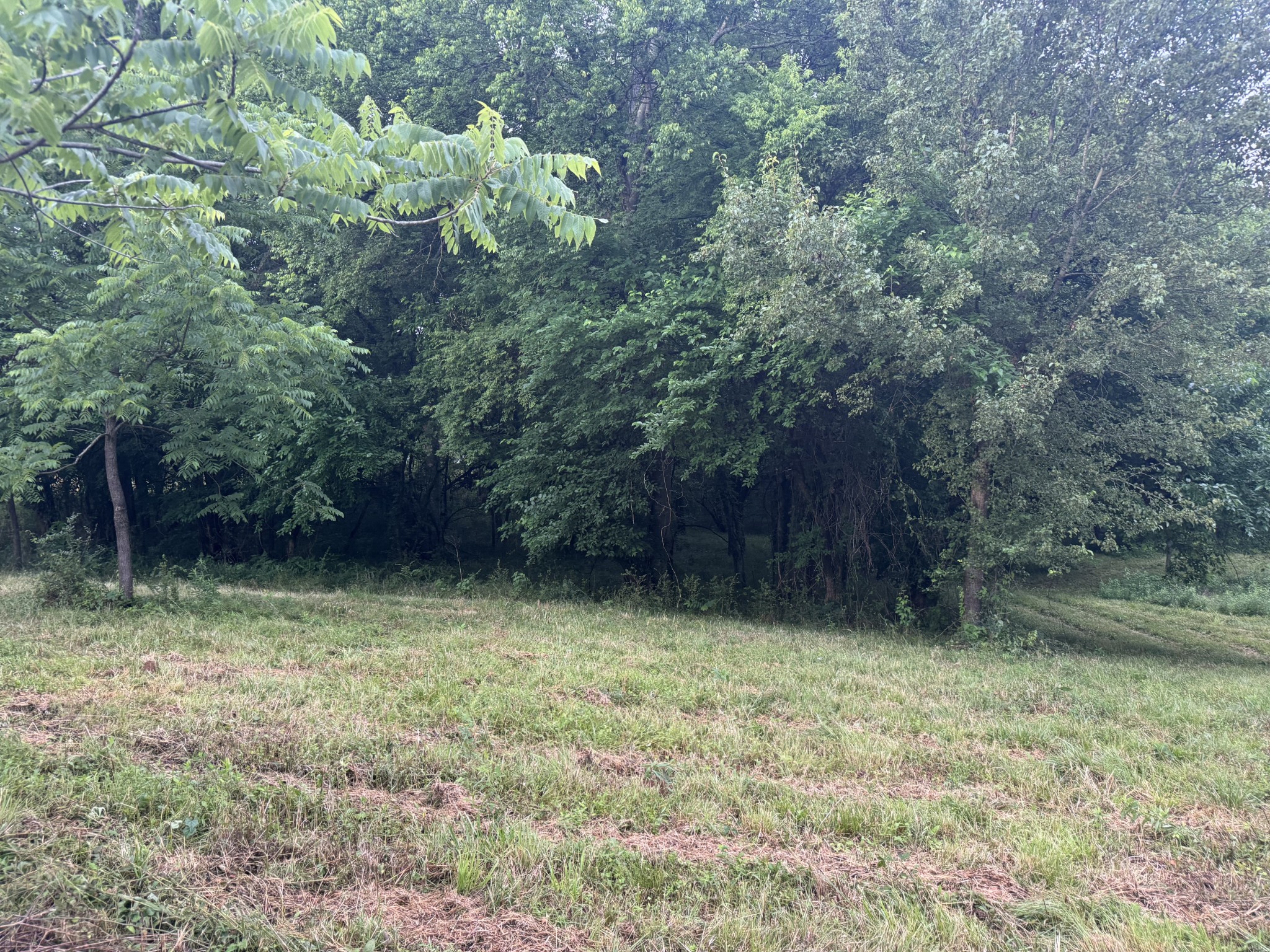 0 Hickerson Road Wartrace TN 37183