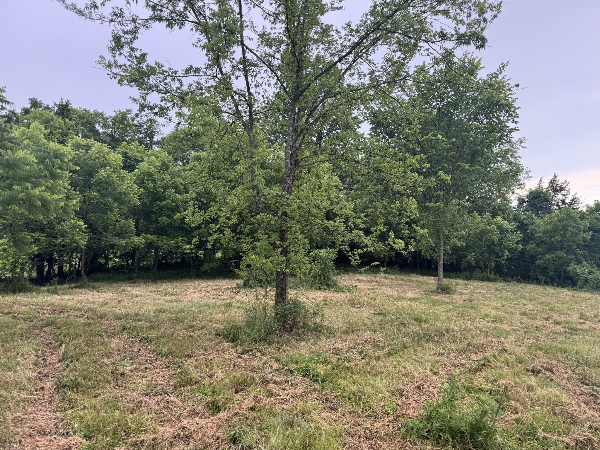 0 Hickerson Road Wartrace TN 37183