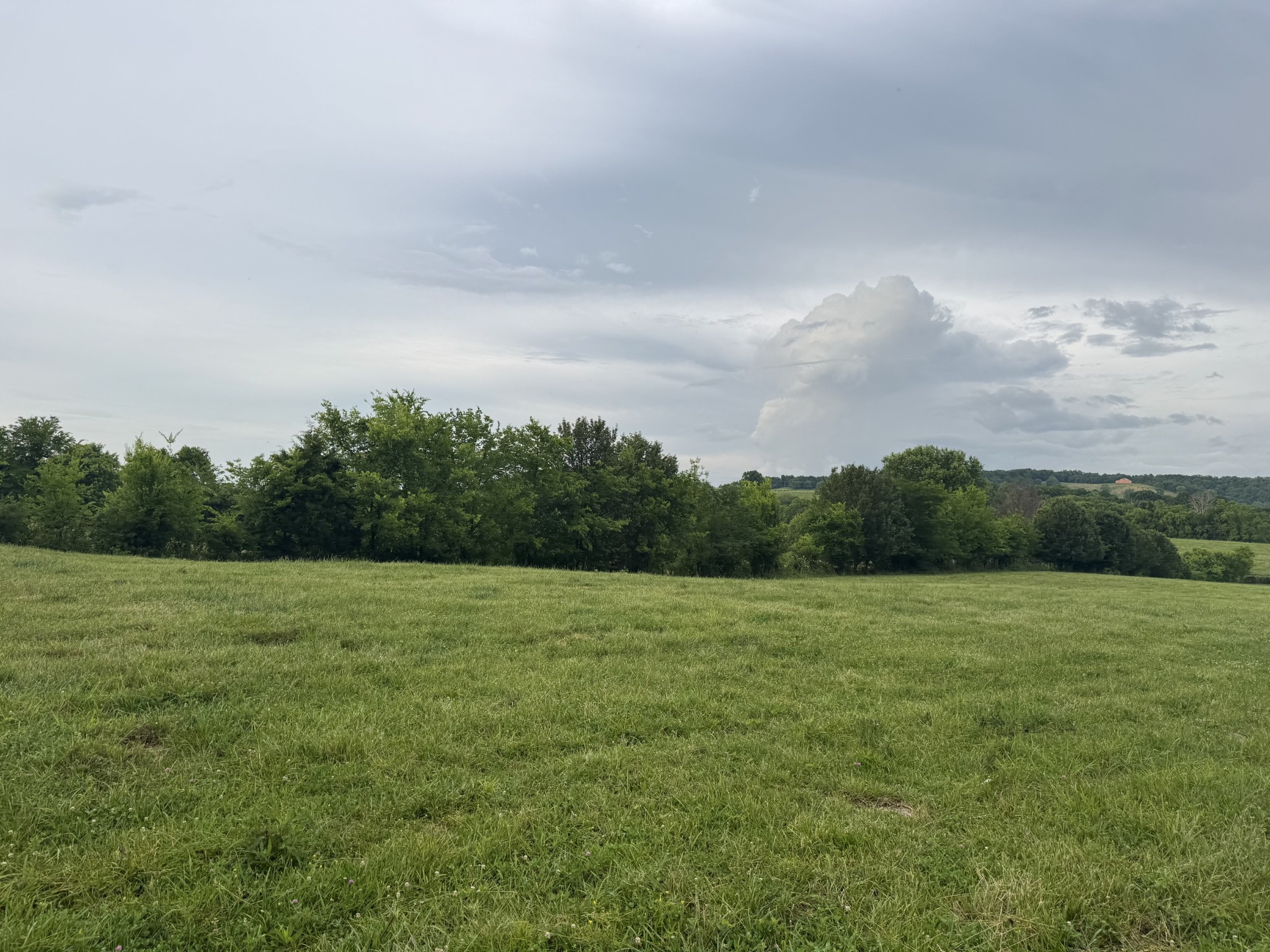 0 Hickerson Road Wartrace TN 37183
