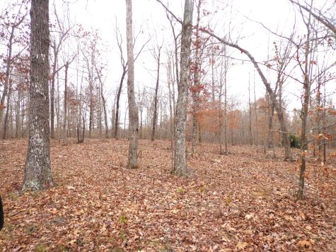 0 Hillcrest Road Waverly TN 37185