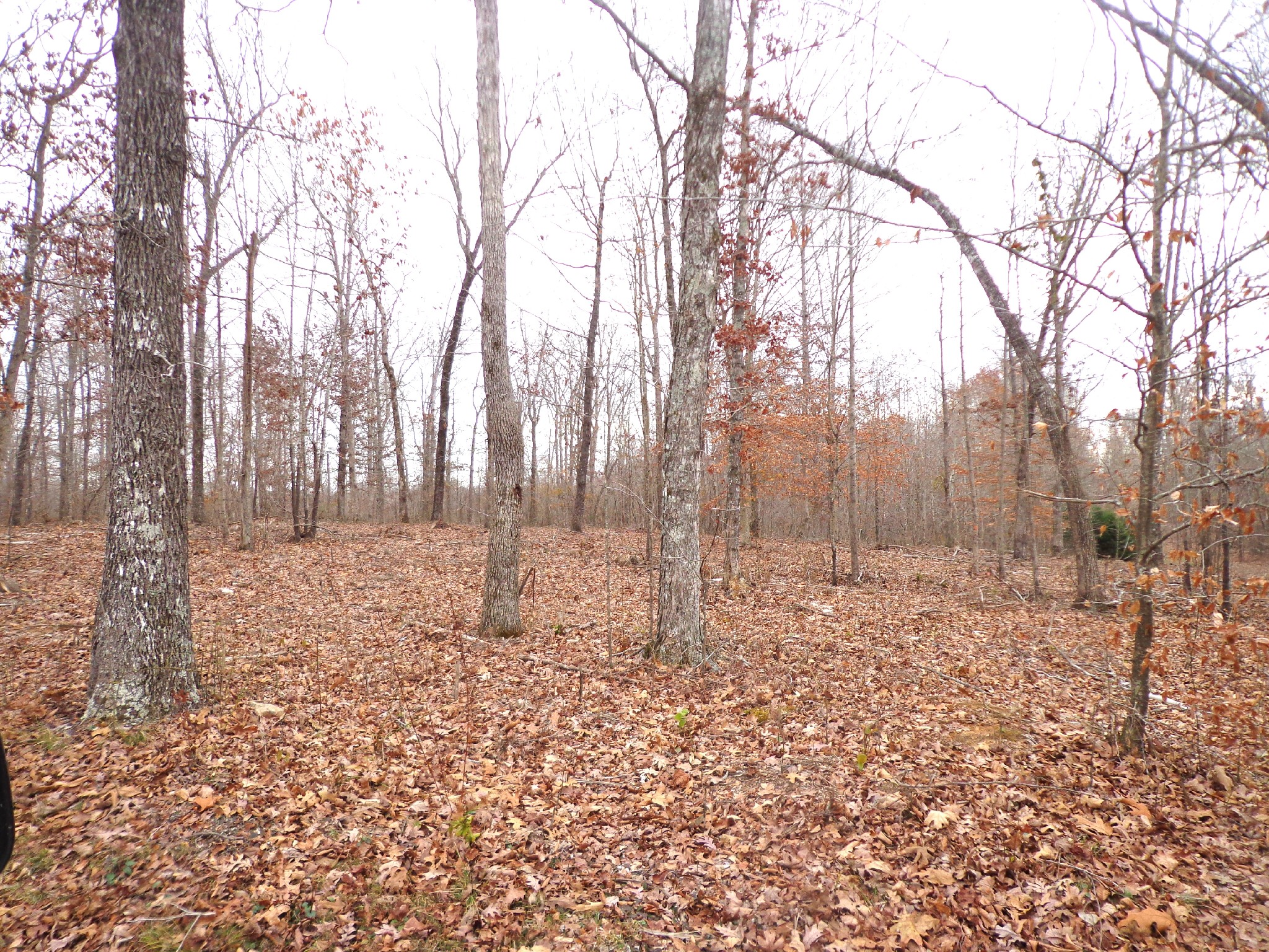 0 Hillcrest Road Waverly TN 37185