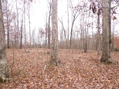0 Hillcrest Road Waverly TN 37185