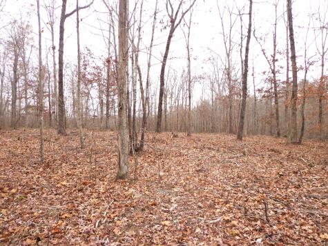 0 Hillcrest Road Waverly TN 37185