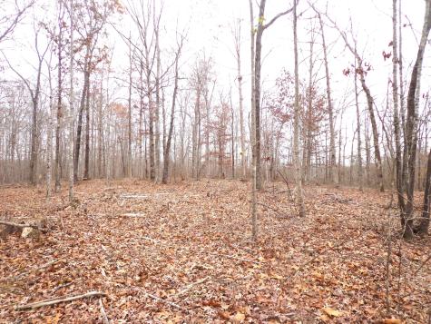 0 Hillcrest Road Waverly TN 37185