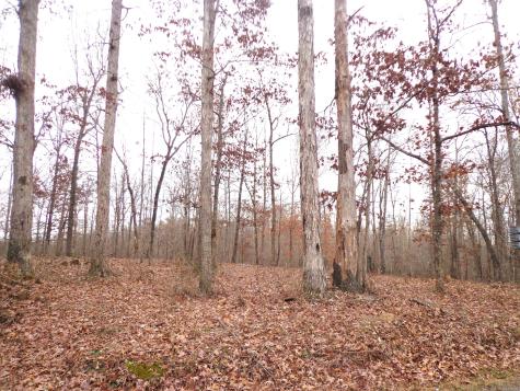 0 Hillcrest Road Waverly TN 37185