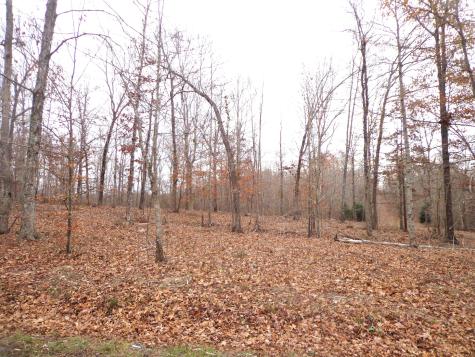 0 Hillcrest Road Waverly TN 37185