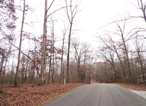 0 Hillcrest Road Waverly TN 37185